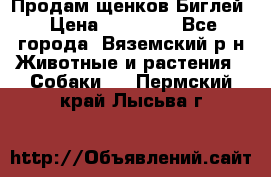 Продам щенков Биглей › Цена ­ 15 000 - Все города, Вяземский р-н Животные и растения » Собаки   . Пермский край,Лысьва г.